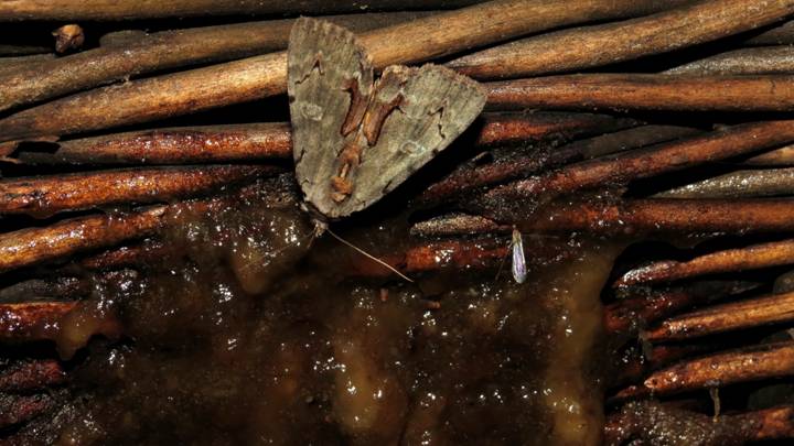 IMG_7819 - Copy_resize