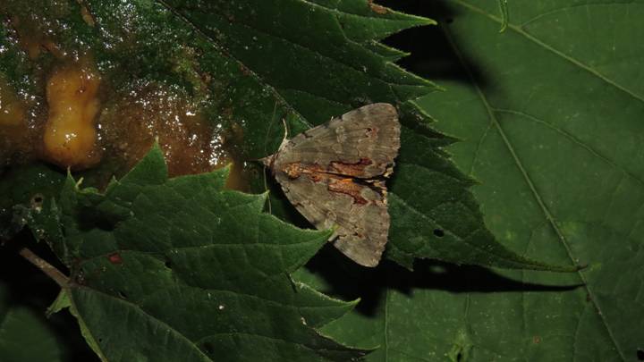 IMG_8315 - Copy_resize