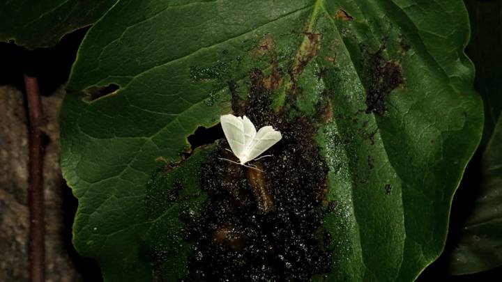 IMG_0815 - Copy_resize