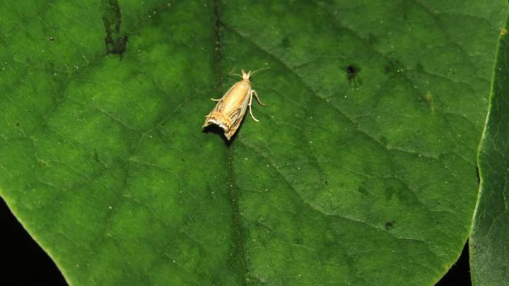 0 IMG_6404 - Copy_resize