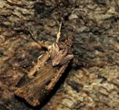 IMG_5084_resize
