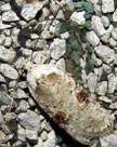 IMG_7269_resize - Copy