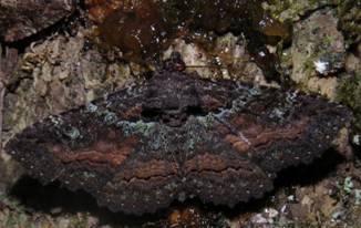 IMG_4993_resize