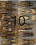 FigureC10_resize
