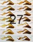 FigureC27_resize