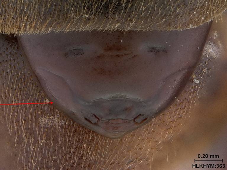 Slide13_resize
