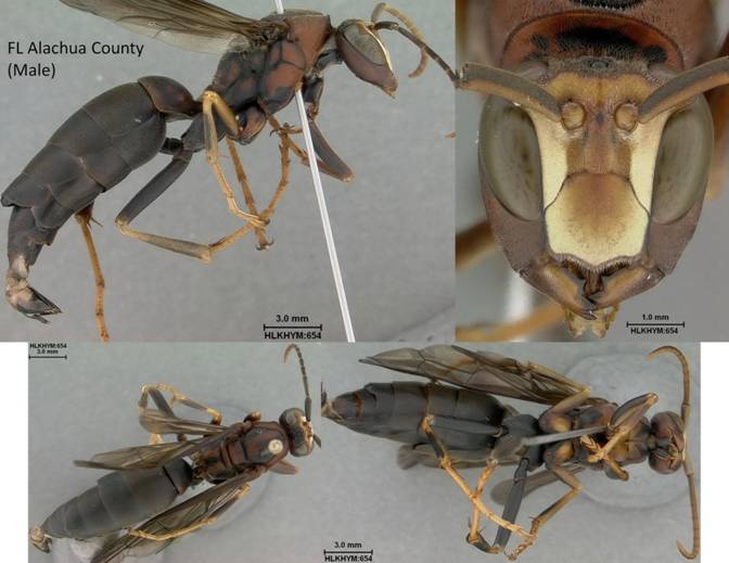 Slide199
